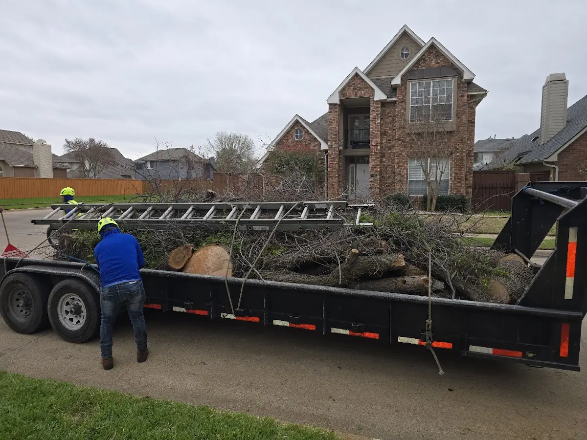 Expert Tree Pest Control with proper safety equipment in Anderson Island